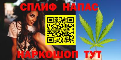 индика Заволжье