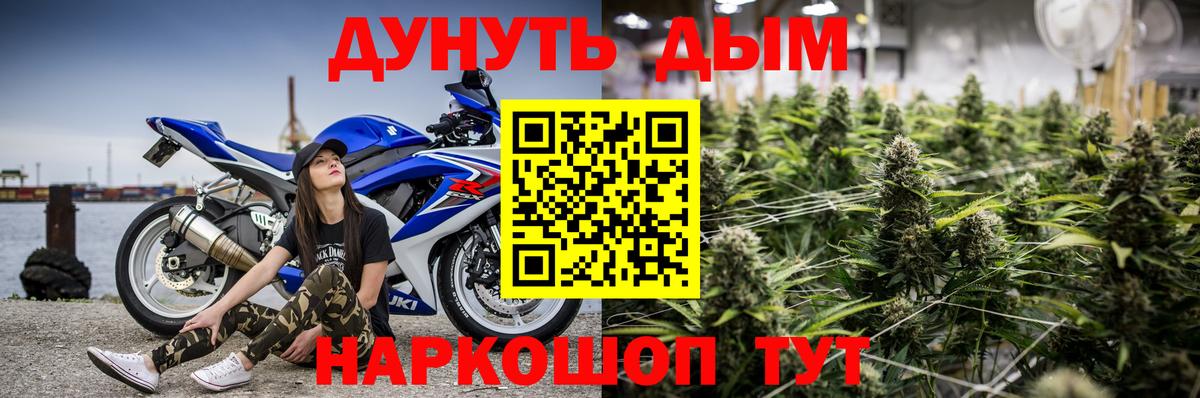 МАРИХУАНА SATIVA & INDICA  Бошки Шишки семена  Вход с VPN  Шишки марихуана ГИДРОПОН  Назрань  МАРИХУАНА Ganja 